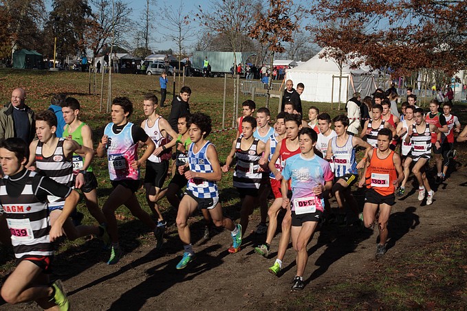 Diapositive suivante